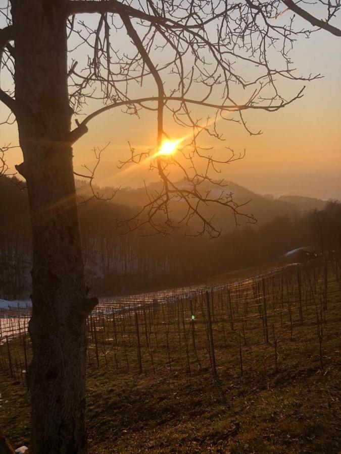 Gaestezimmer Klopfer Sankt Johann im Saggautal Eksteriør bilde
