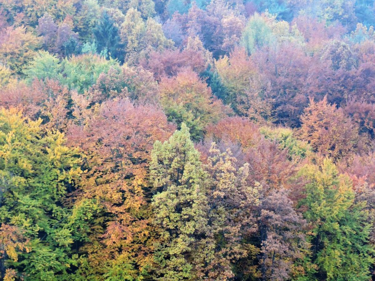 Gaestezimmer Klopfer Sankt Johann im Saggautal Eksteriør bilde